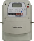 G1.6 / G 2.5 / G4 Lora Prepaid i Postpaid Gas Meter, CA768 Prepaid Gas Meter STS