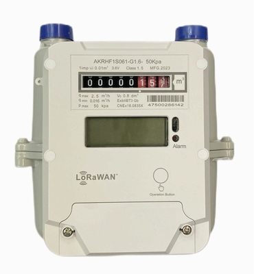 STS AMR Prepaid LORAWAN Meter gazowy